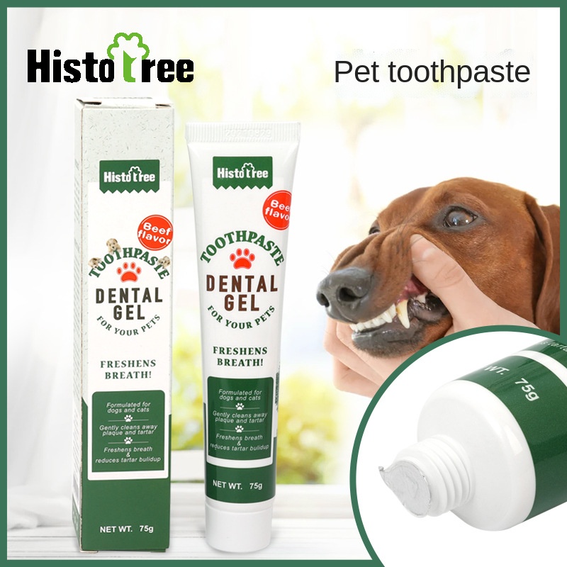 Pet Toothpaste for Cats and Dogs Toothbrush General Oral Cleaning and Care Teeth Products Fresh Breath Beef Vanilla Taste