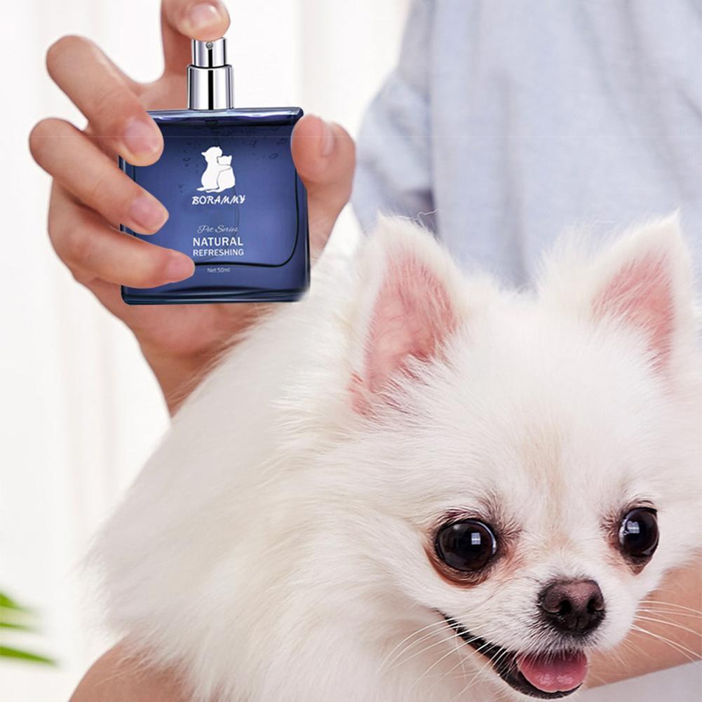 Dog Spray Rabbit Dog Litter Deodorant Spray Fragrance Light Cleaning Odor Body Remove 50ml/bottle Plant S7f0
