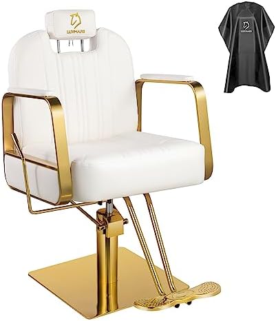 Barber Chair Salon Chair Hydraulic Salon Chair All Purpose Beauty Salon Equipment, Max Load Weight 440 Lbs White