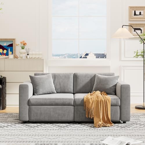 Cloud Modular Sofa Couch with Seats Storage, Comfy Velvet Fabric Couch for Living Room, Office, Deep Seat, Wide Armrest, Side Pockets,Upholstered Couch W/Washable Cover (Light Gray, 2-seat)